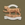 1 The Leicestershire Regiment